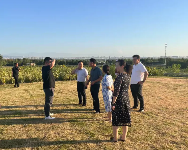 简篇-耿镇街道一周工作纪实