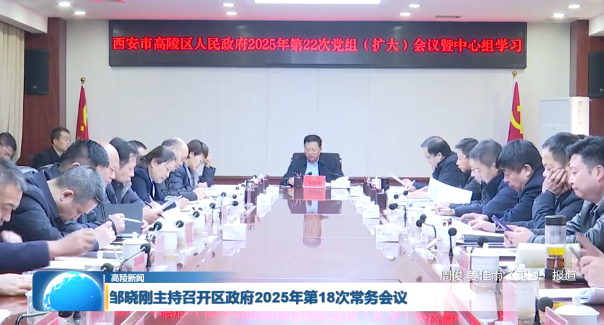 高陵区召开区政府2025年第18次常务会议