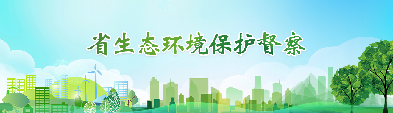 省生态环境保护督察（已归档）